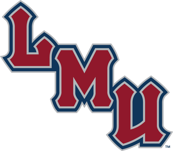 Loyola Marymount Lions 2001-Pres Wordmark Logo v4 DIY iron on transfer (heat transfer)